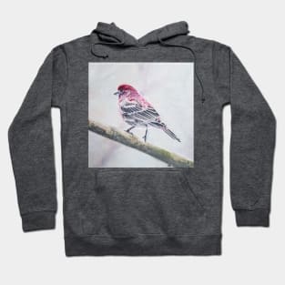 House Finch Bird Painting Hoodie